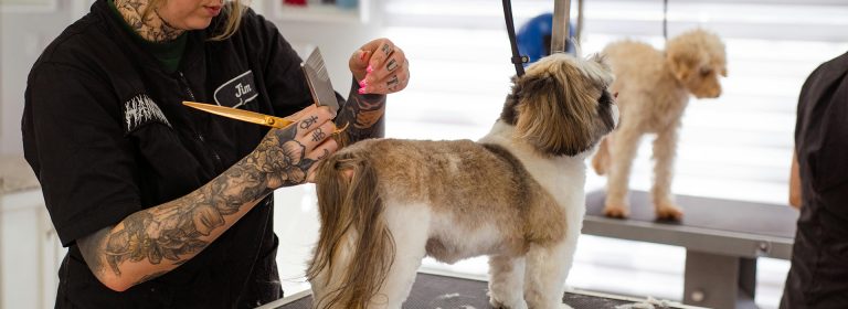 Because pets deserve the best